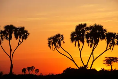 ዕራርቦ ጸሓይ ኣብ ምዕራብ ኤርትራ