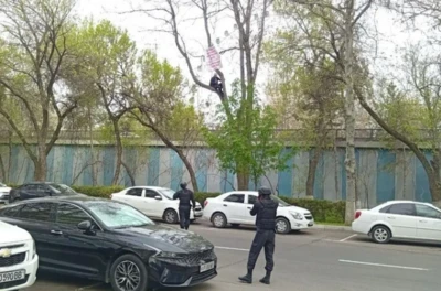 Ғайриоддий норозилик иш берди