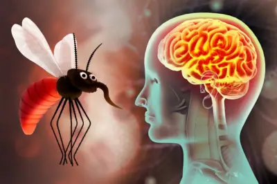 વિશ્વ મેલેરિયા દિવસ : બાળકોનાં મગજને પહોંચતા લાંબા ગાળાના નુકસાન માટે શું મેલેરિયા જવાબદાર છે?