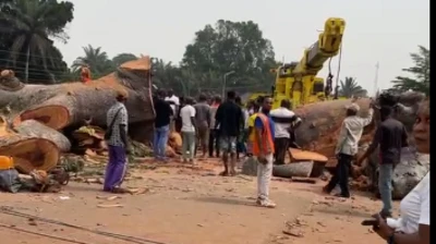 Ndị ọkachamara kwuru na ndị mmadụ nwereike igbutu ngalaba ya mgbe ọbụla