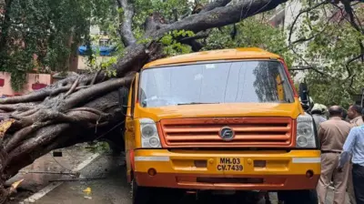 30 जून को दोपहर में मुंबई के चेंबूर में स्कूल बस पर पेड़ गिरने से 11 वर्षीय विहान श्रीवास्तव की मौत हो गई