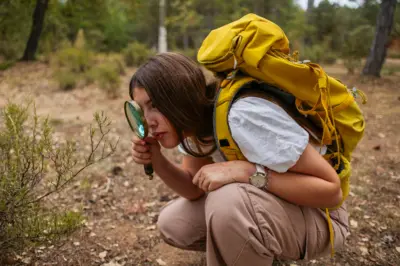 زموږ مغز نشي کولی په یوه وخت کې د یوې منظرې ټول شیان وارزوي. پر ځای یې د تمرکز پر وړتیا تکیه کوي.