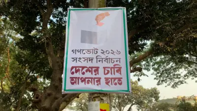 দেশের বিভিন্ন জায়গায় গণভোট নিয়ে প্রচারণা চালাচ্ছে সরকার