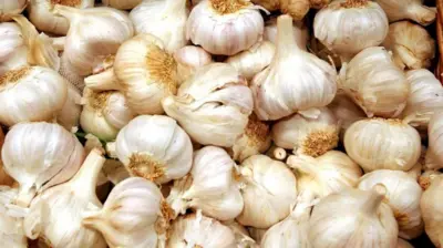 ነጭ ሽንኩርት