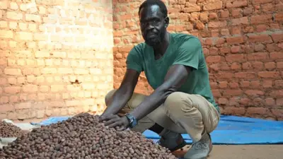 Mustafa Gerima squats and puts his hands on a pile of shea nuts