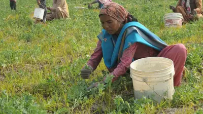 ਵਿੱਤ ਮੰਤਰੀ ਹਰਪਾਲ ਸਿੰਘ ਚੀਮਾ ਨੇ ਆਖਿਆ ਕਿ ਸੂਬਾ ਸਰਕਾਰ ਸਿਰ ਹੁਣ ਕਰਜ਼ੇ ਦਾ ਬੋਝ 4 ਲੱਖ ਕਰੋੜ ਨੂੰ ਛੂਹ ਗਿਆ ਹੈ (ਸੰਕੇਤਕ ਤਸਵੀਰ)