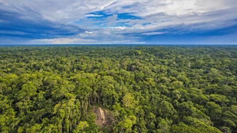 Las Asombrosas Imágenes De Una Tribu Aislada Tomadas En Brasil Por Un ...