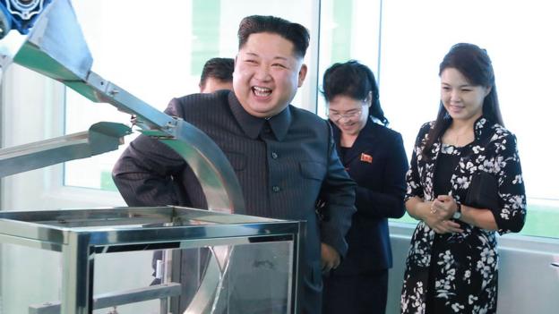 ¿quién Es Ri Sol Ju La Esposa De Kim Jong Un La Misteriosa Porristaemk 9177