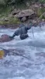 rescue attempt