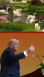 president