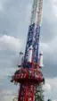 Аттракцион «Орешник»
