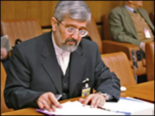 علی اصغر سلطانیه