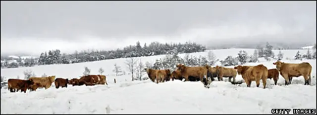 در آغاز زمستان سرمایی بی سابقه اروپا را فرا گرفته است