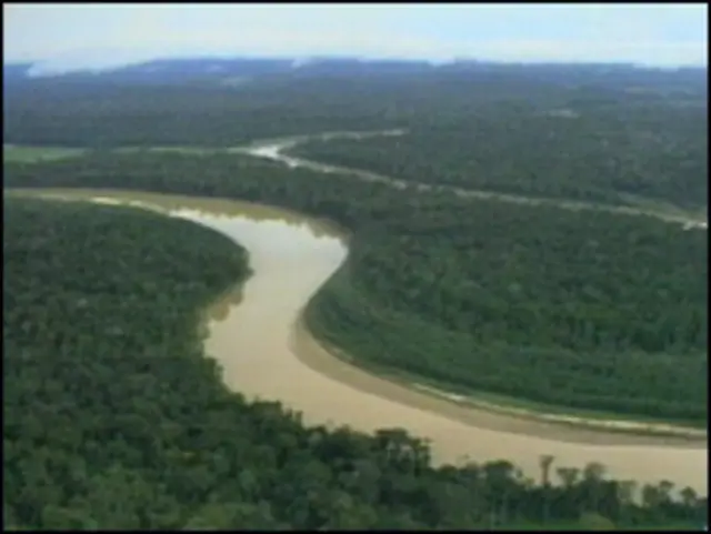 Floresta Amazônica (arquivo)