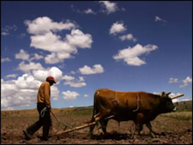 Justiça indígena passará a ser reconhecida se texto for aprovado