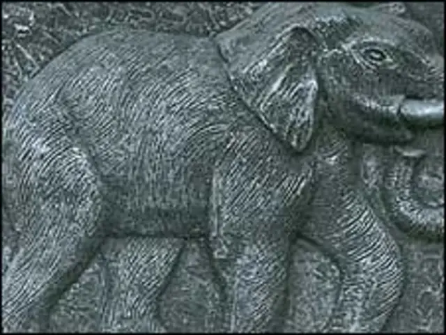 نشان کفش ملی