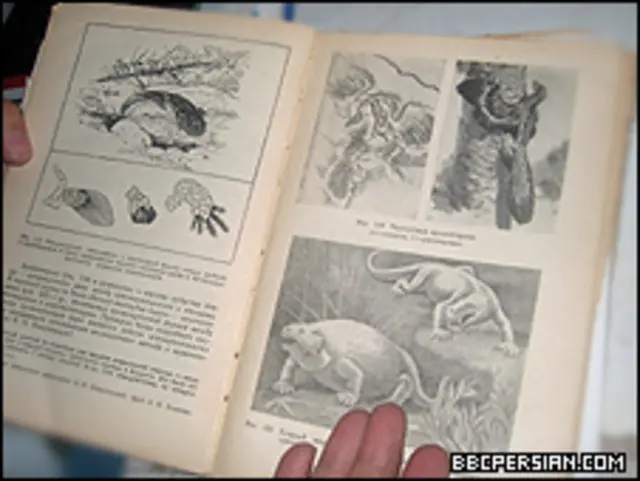 El origen de las especies