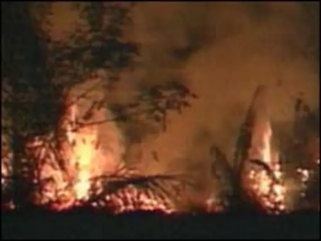 Lista tem 36 cidades responsáveis por 50% das perdas florestais