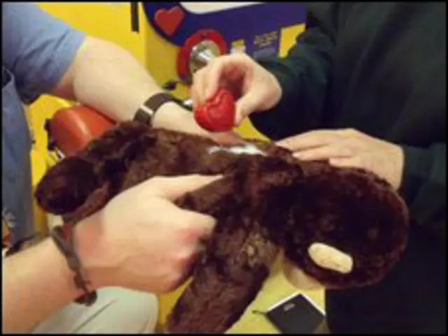 Macaco de brinquedo (foto: Dave Rolfe)