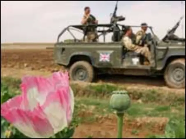 افغانستان دنیا بھر میں پوست کی پیداوار کا ترانوے فیصد پیدا کرتا ہے