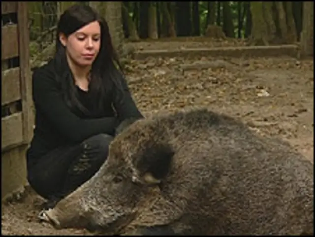 Kristina Scherer com um javali em Berlim