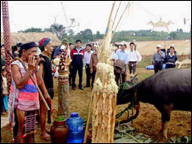 Tây Nguyên (ảnh chỉ mang tính chất minh họa)