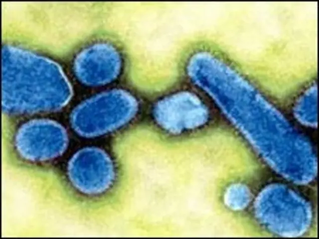 Virus cúm Tây Ban Nha