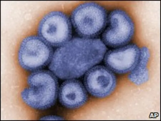 Virus H1N1