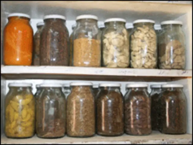 گیاهان دارویی