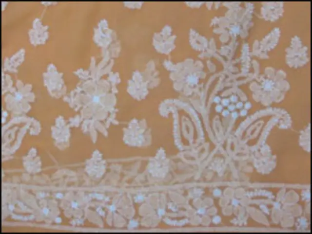 چکن کاری کا کام لکھنؤ کے مضافاتی دیہات میں ہوتا ہے جہاں سینکڑوں خاندان اس کام سے وابستہ ہیں