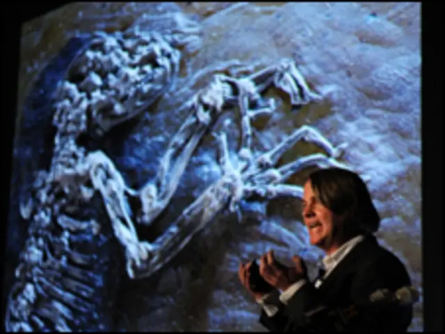 تحقیقاتی ٹیم کے یورن ہوروم