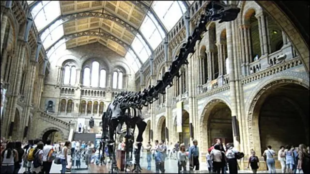 Скелет диплодока в Музее естественной истории в Лондоне