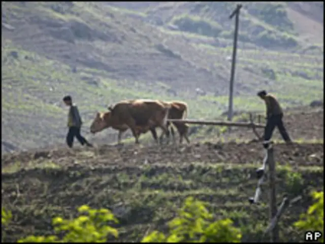Kinh tế Bắc Hàn dựa khá nhiều vào viện trợ của Trung Quốc