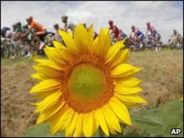 "Тур де Франс" (архивное фото)