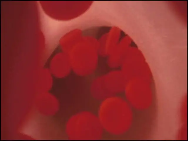 Тромбоциты