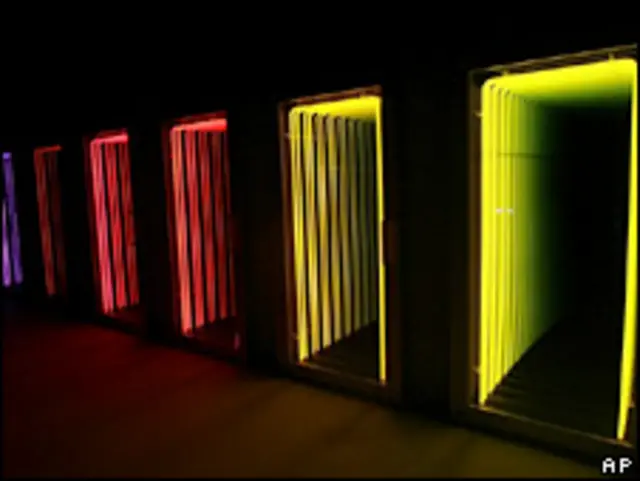 وینس کی نمائش