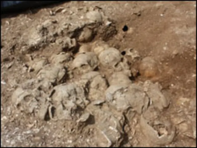 Crânios em sítio arqueológico em Dorset (Foto: Condado de Dorset/Divulgação)