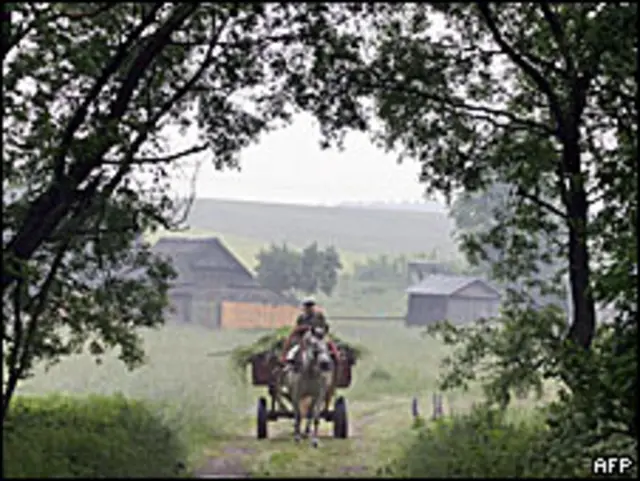 Деревня в 70 км от Минска