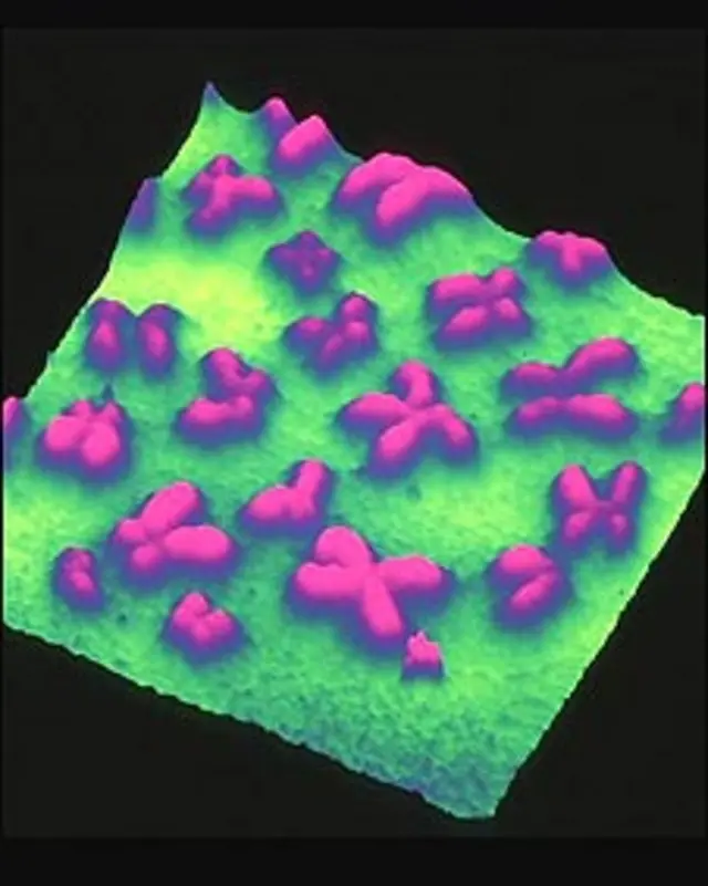 क्रोमोसोम