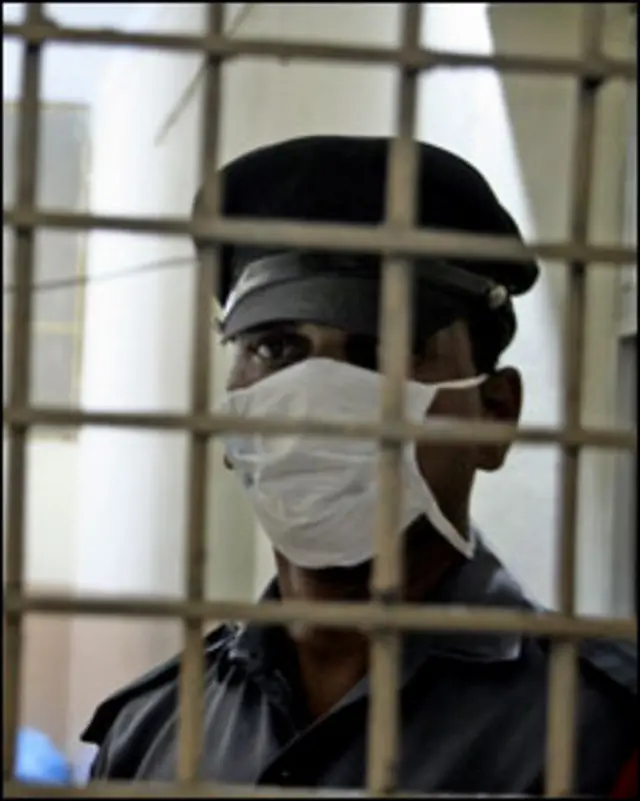 سوائن فلو(فائل فوٹو)