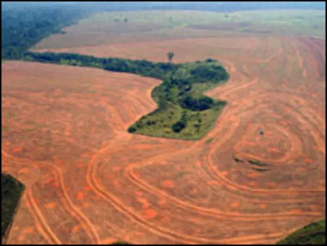 Área no Pará desmatada pelo cultivo de soja