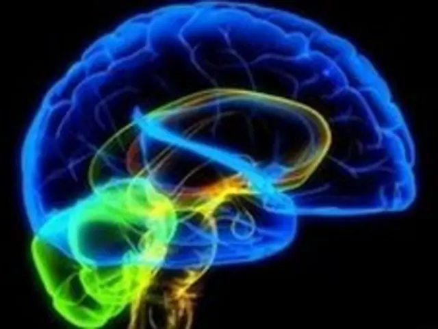 پروژه مغز آبی رنگ