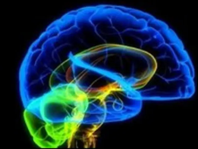 انسانی دماغ کا ارتقاء ابھی جاری ہے، یہ ختم نہیں ہوا بلکہ یہ بہت تیزی سے ارتقاء کی اگلی منزلیں طے کر رہا ہے: ہینری مارکرم