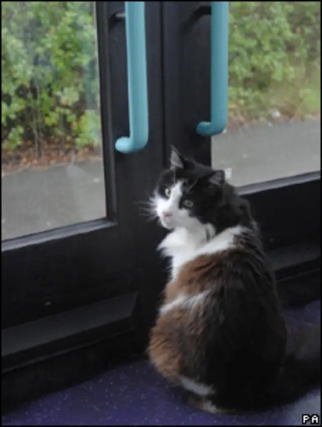 Каспер в автобусе