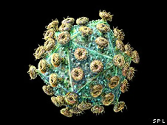 Virus VIH