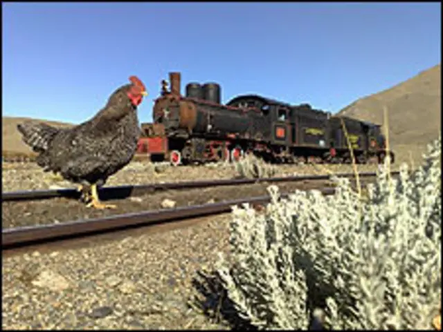 La Tronchita, tren antiguo que recorre la Patagonia argentina.
