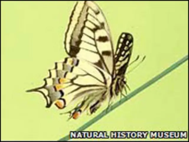 所有需要搬迁的植物标本在进入新楼前须在冰箱中待两周以便杀死“不速之客