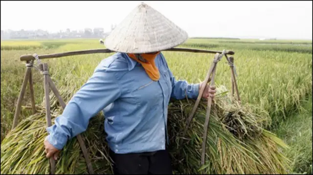 Bao giờ chuyển từ một nền nông nghiệp khép kín sang sản xuất công nghiệp liên kết toàn cầu?
