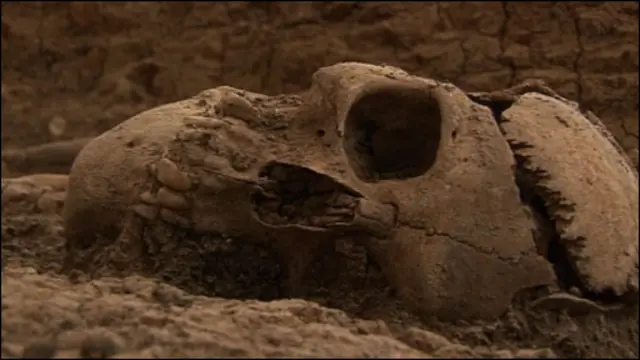 گورهای بی نام و نشان در اسپانیا از زمان حکومت ژنرال فرانکو