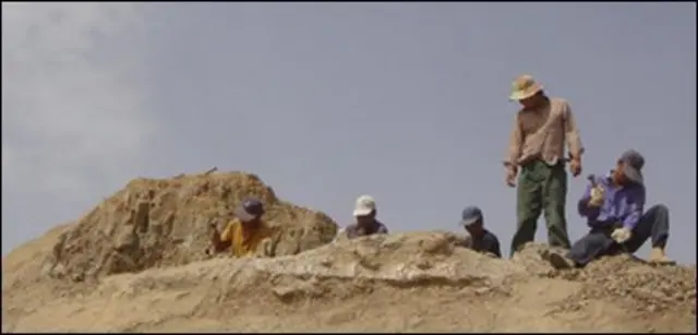 حفاری فسیل در چین